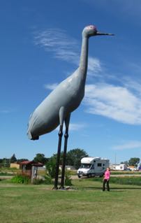 crane-744