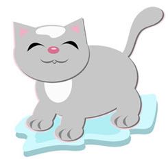 cat-763