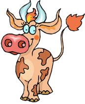 cow-766