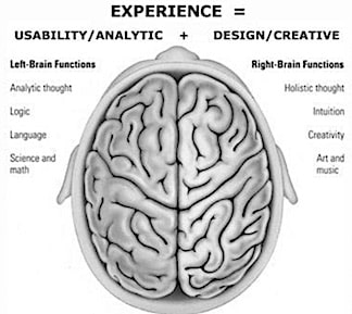 brain