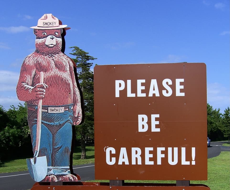A plea to take care of our forests and extinguish campfires