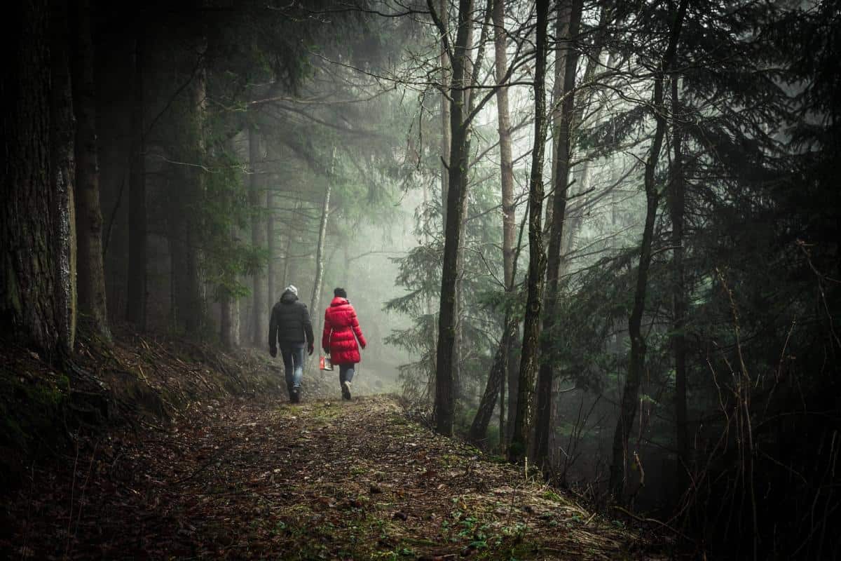 Do you walk or jog regularly for exercise? 