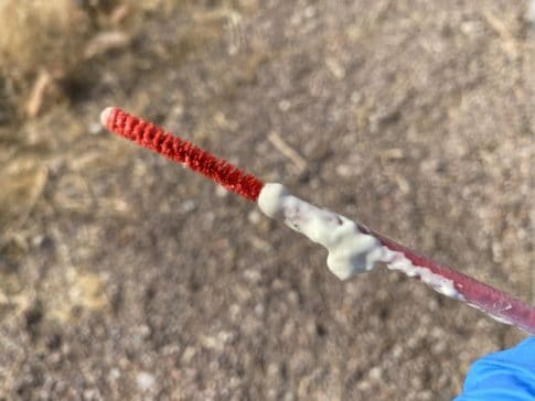 Clean foam filler dispensing tube with pipe cleaner