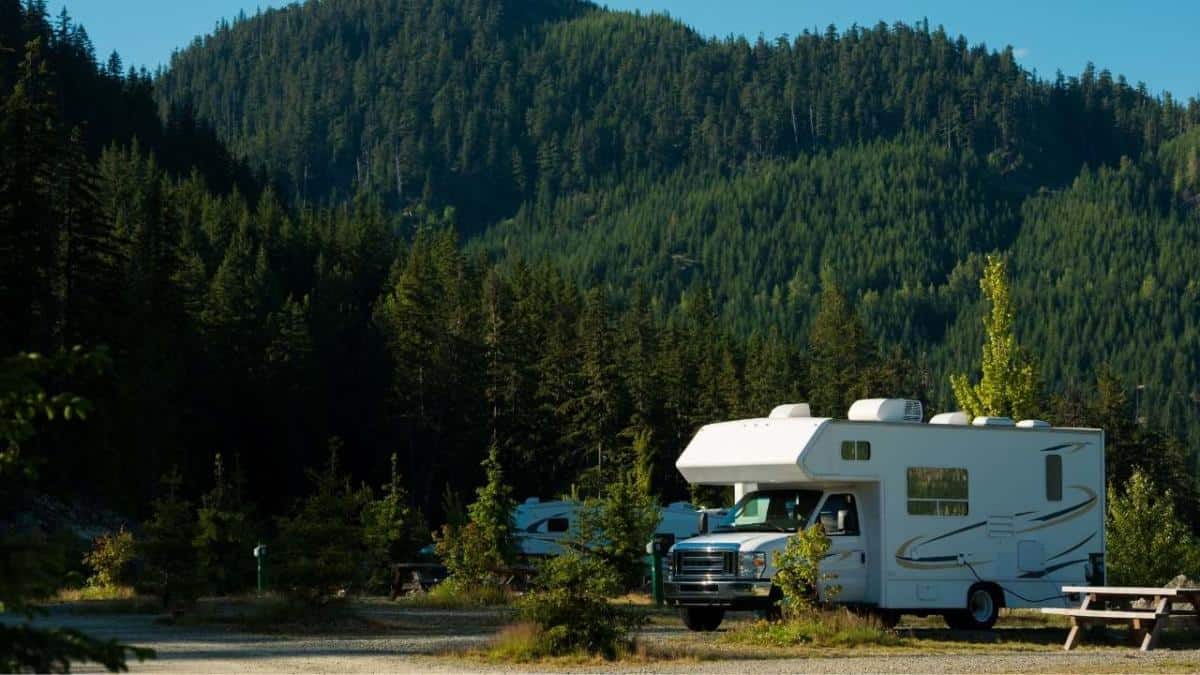 Which campsite do you normally choose, a pull-through or back-in?
