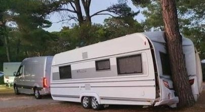 tree vs RV