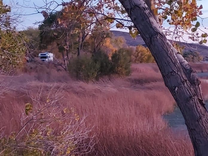 Camping at Pahranagat National Wildlife Refuge