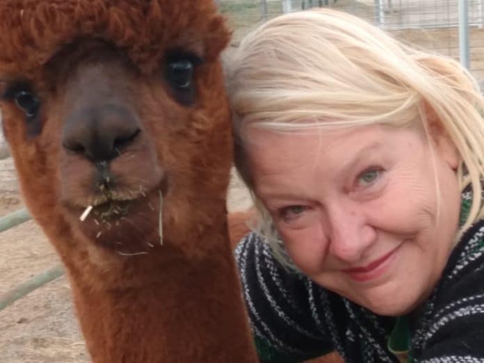Cheri Sicard at the Sawdust Alpaca Farm