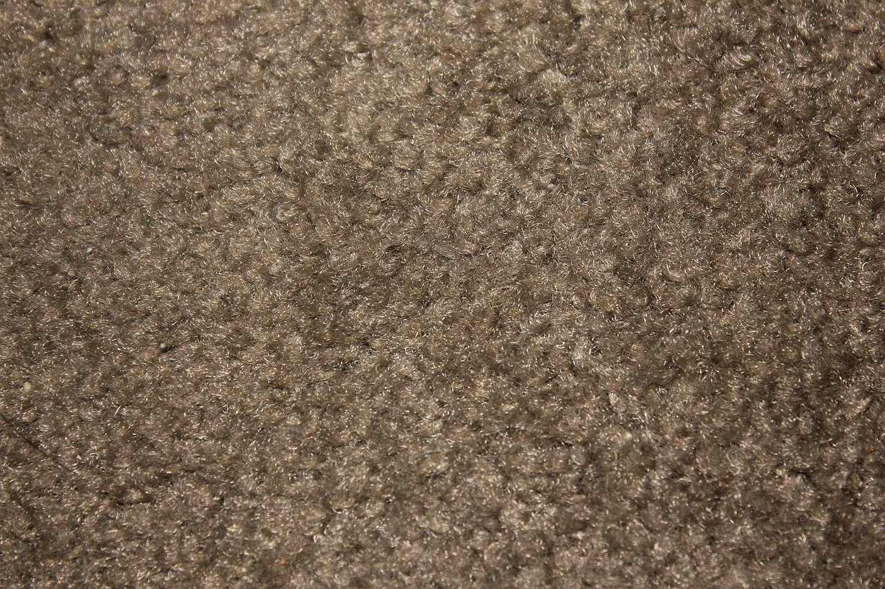 How much of your RV’s floor is covered with wall-to-wall carpet?