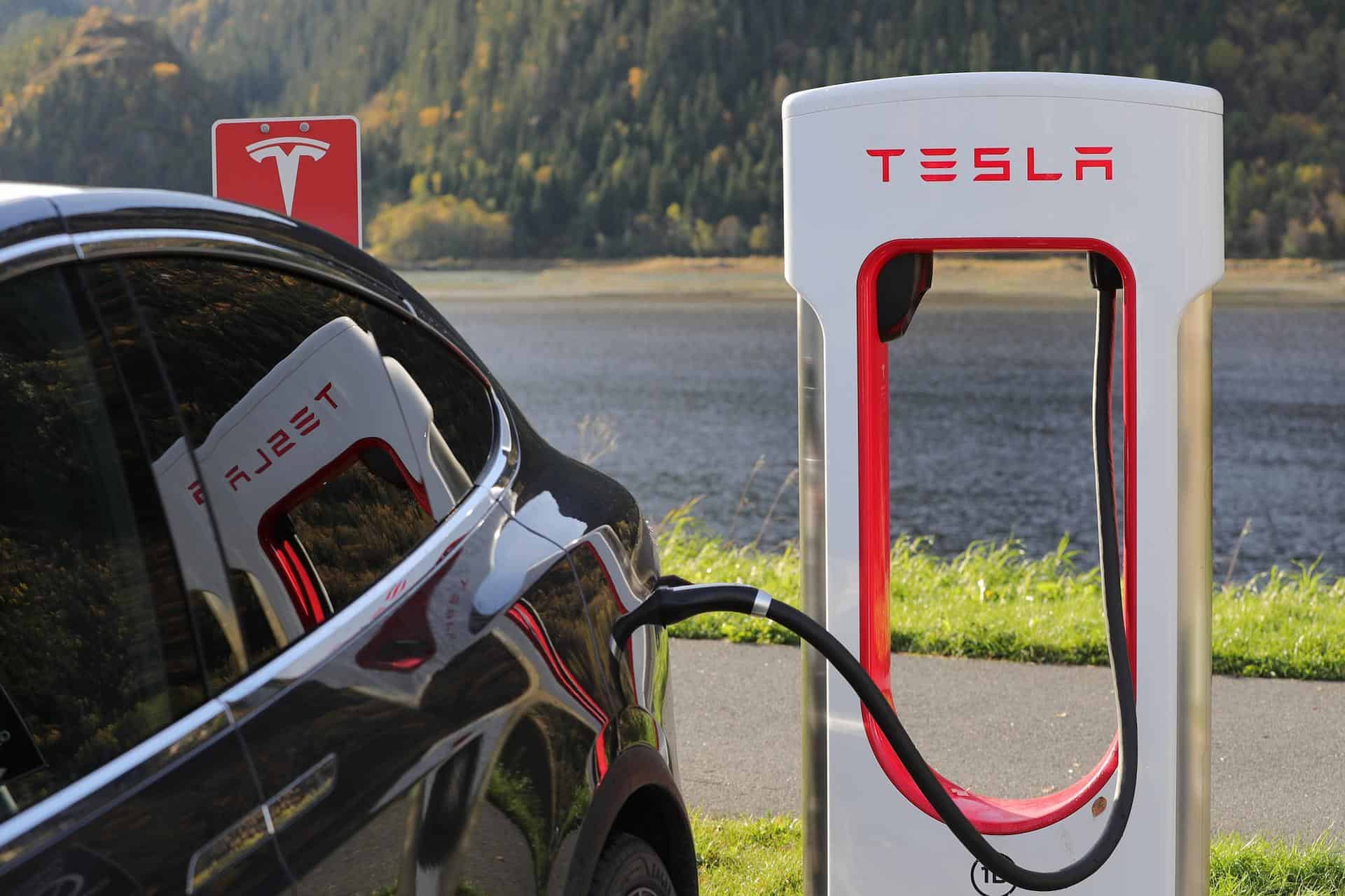 How likely is it that you will buy an electric car/truck in the next year?