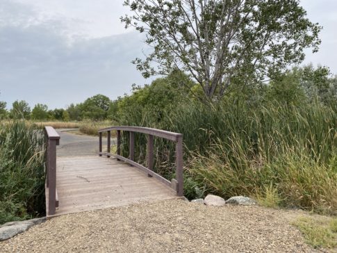 A bridge at Downstream Campground