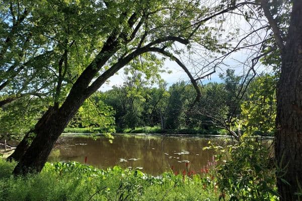 camping at blackhawk park, desoto, WI