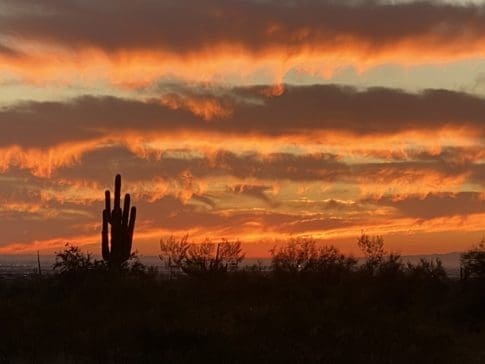 Photo Credit Nanci Dixon