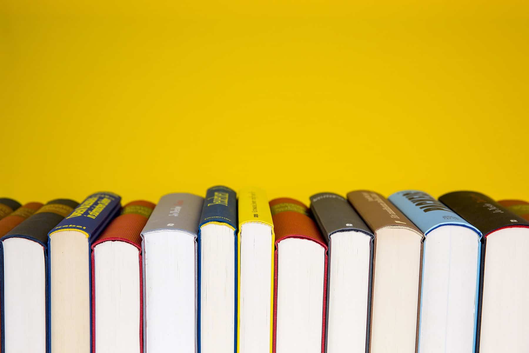How often do you use physical guide/travel books to plan your trips?