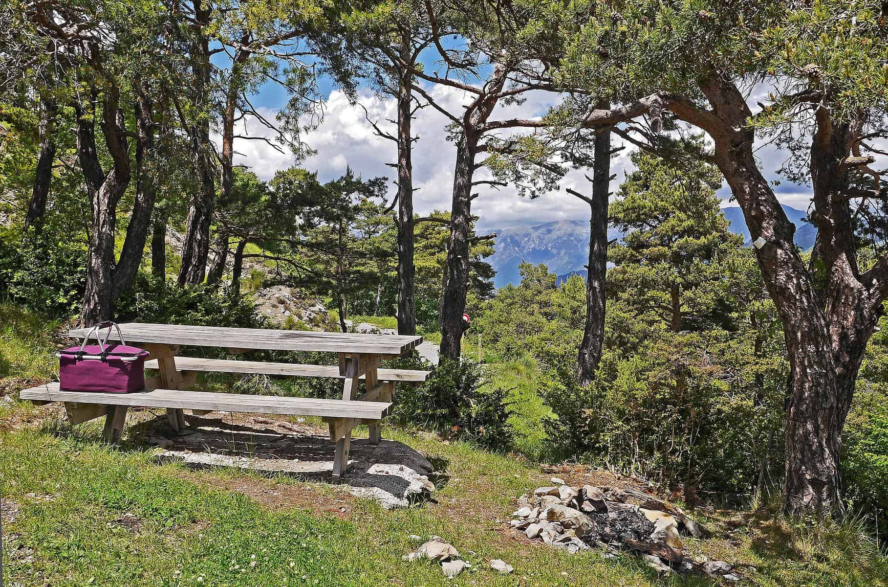 How often do you eat a meal at a picnic table?