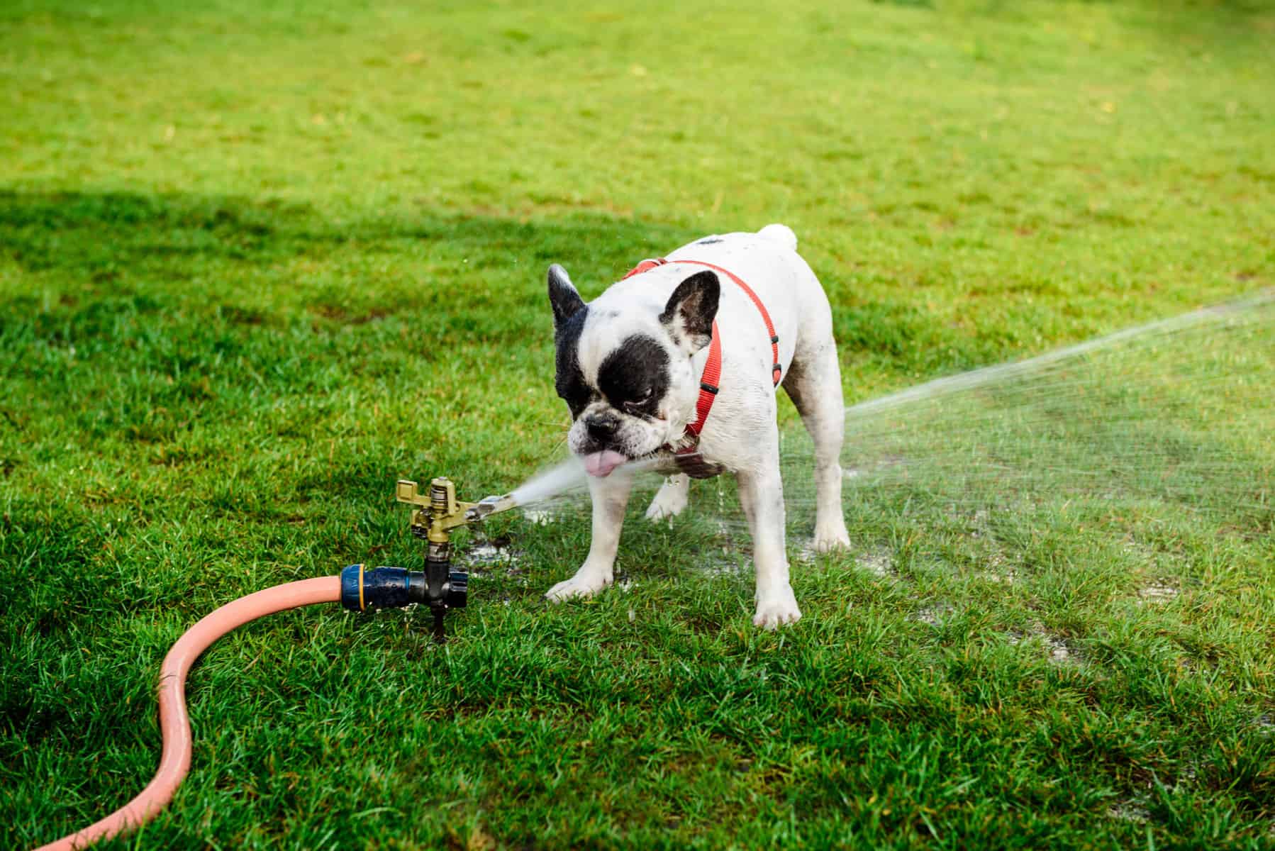 Unusual and helpful ways RVers can use old water hoses