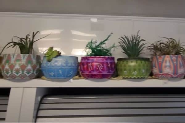 RV plants