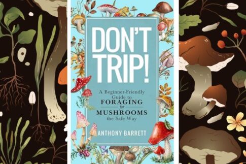 Don’t Trip: A Beginner Friendly Guide to Foraging for Mushrooms the Safe Way