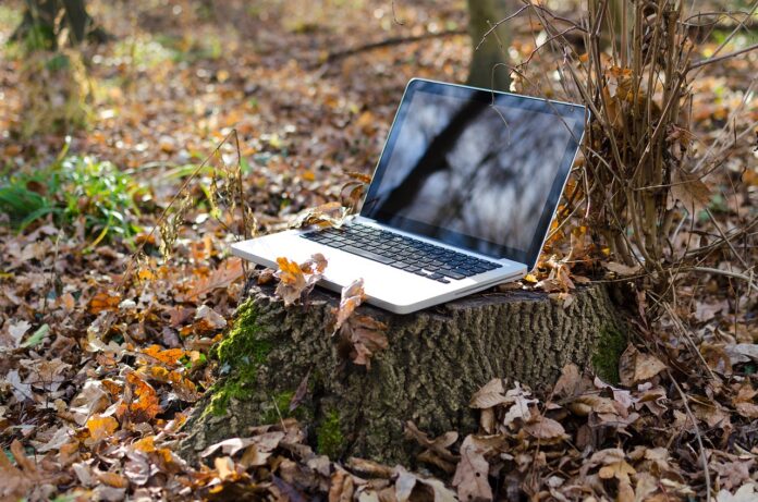 A laptop in the woods trying to connect to campground wifi