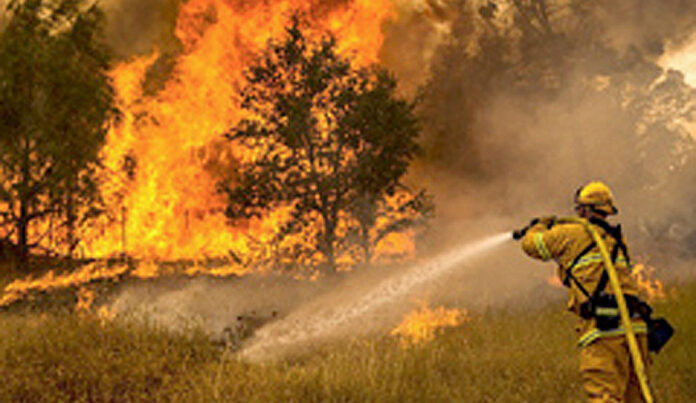 BLM closures