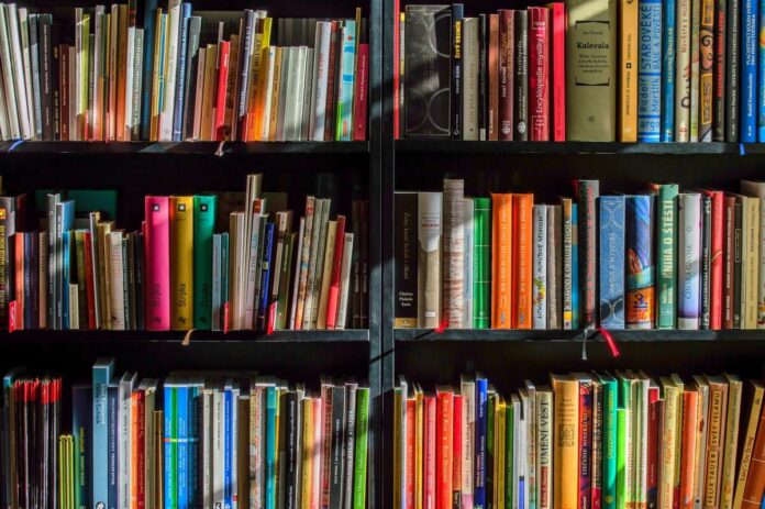 A bookshelf showing the best RV books