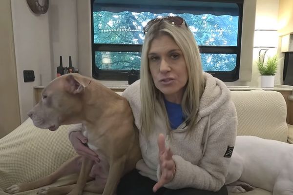 rv dog problems solved