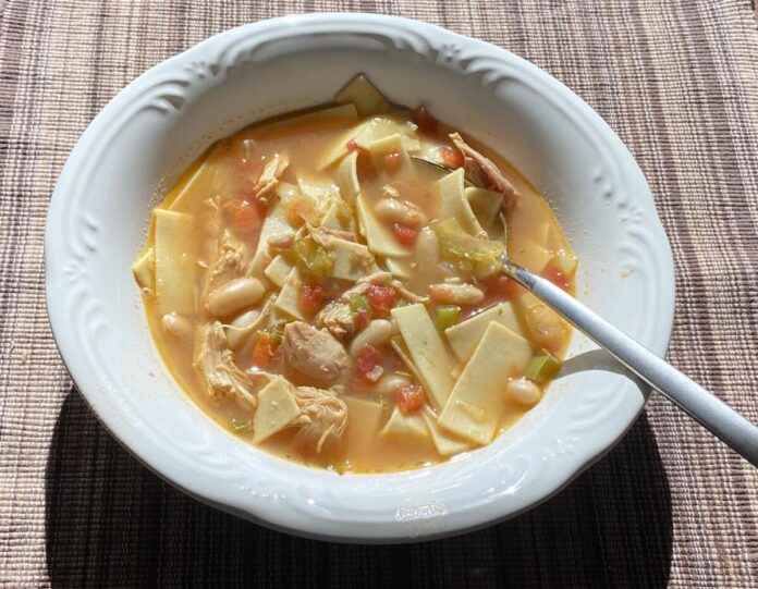 A bowl of soup from Nanci's easy chicken noodle soup recipe