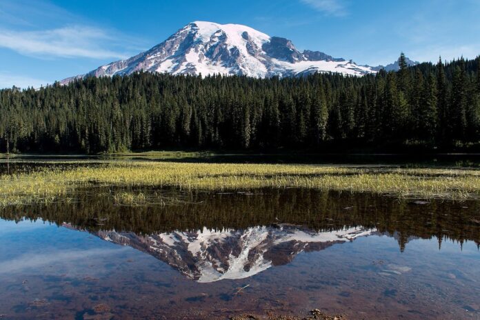Visiting Mount Rainier National Park? You may need a reservation.