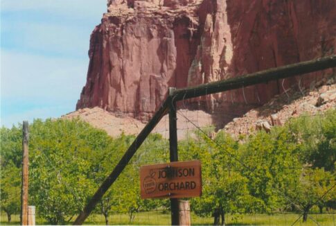 Fruita orchard