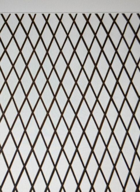 solve the dog fencing problem with lattice