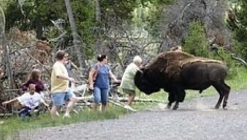  12 tips for the best national park adventure