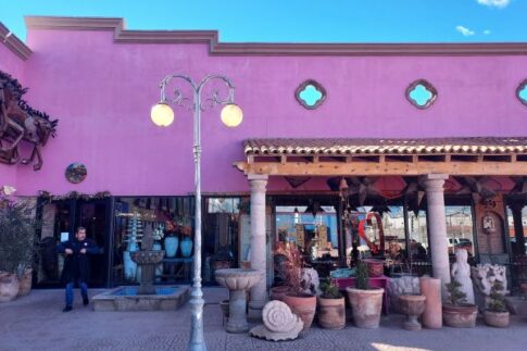 The Pink Store, Palomas, Mexico