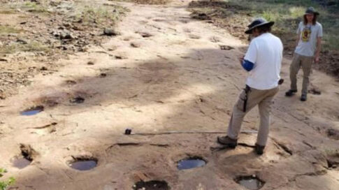 Walk in the footsteps of dinosaurs