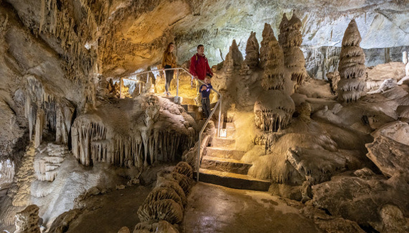 Go bats for cave tours