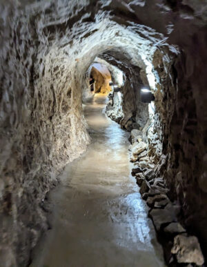 Go bats for cave tours