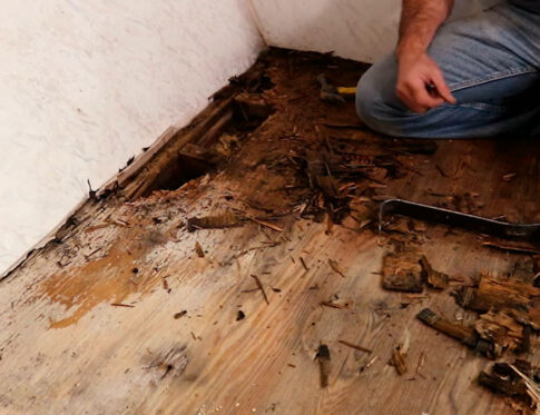 Floor Rot 1