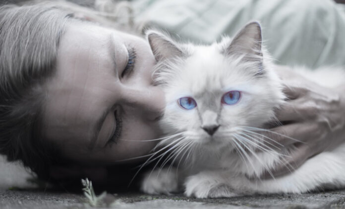 How well do you know your cat