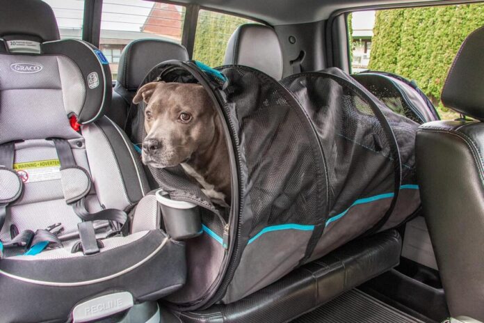 The Sherpa pet travel kennel