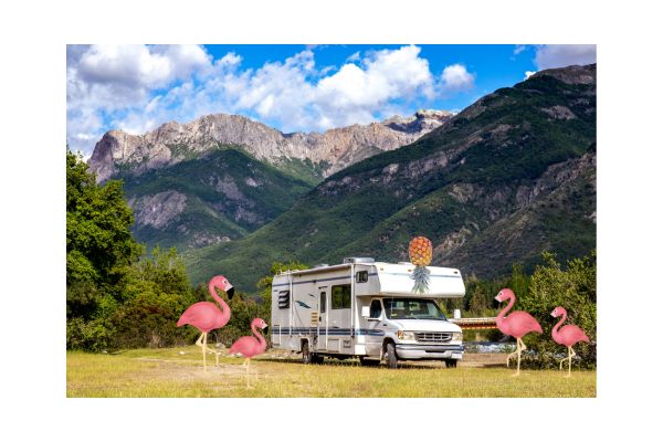 Signs of RV swingers - colored loofahs, upsidedown pineapples, and flamingo lawn decorations