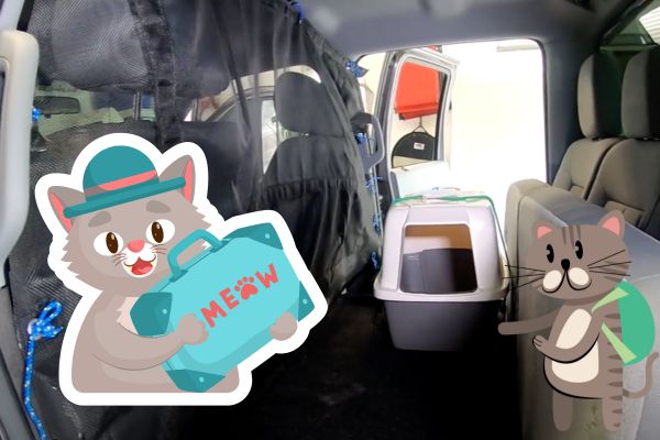 Traveling with cats title card image to tips aticle