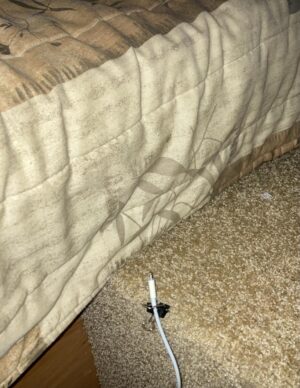 Clip by bed