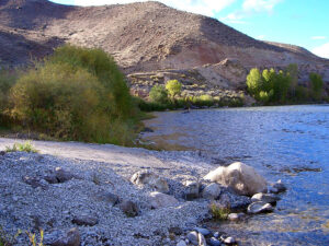  BLM plans fee increases 