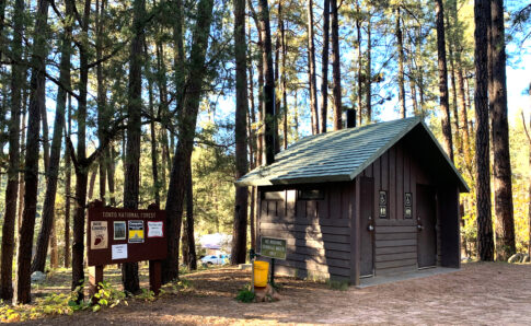 Forest Service wants to cut hundreds of trees