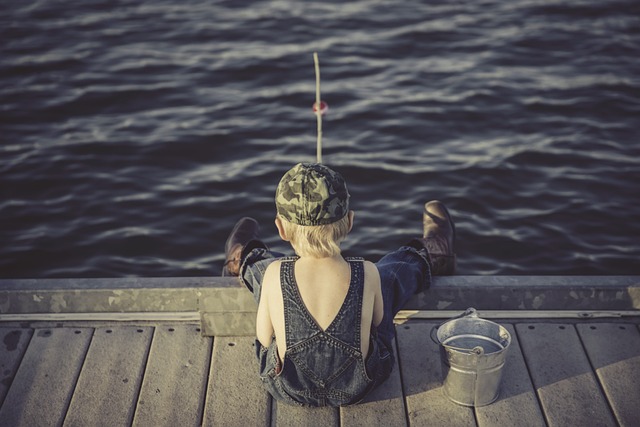 little boy fishing pixabay free photo
