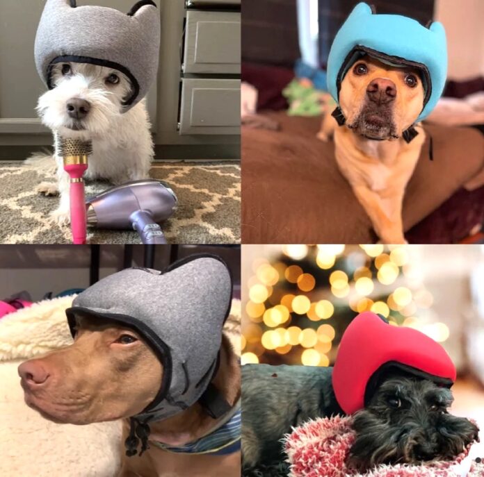 Dog Headphones