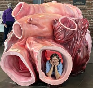 Giant heart