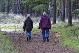 RVers walking dog