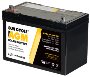 AGM Battery
