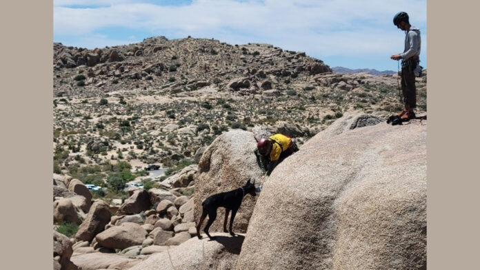 Park rangers rescue lost dog and owners get fined