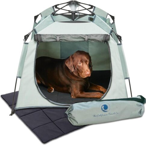 dog playpen Amazon photo