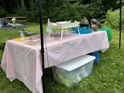 the table at a campground birthday party